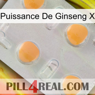 Ginseng Power X 24